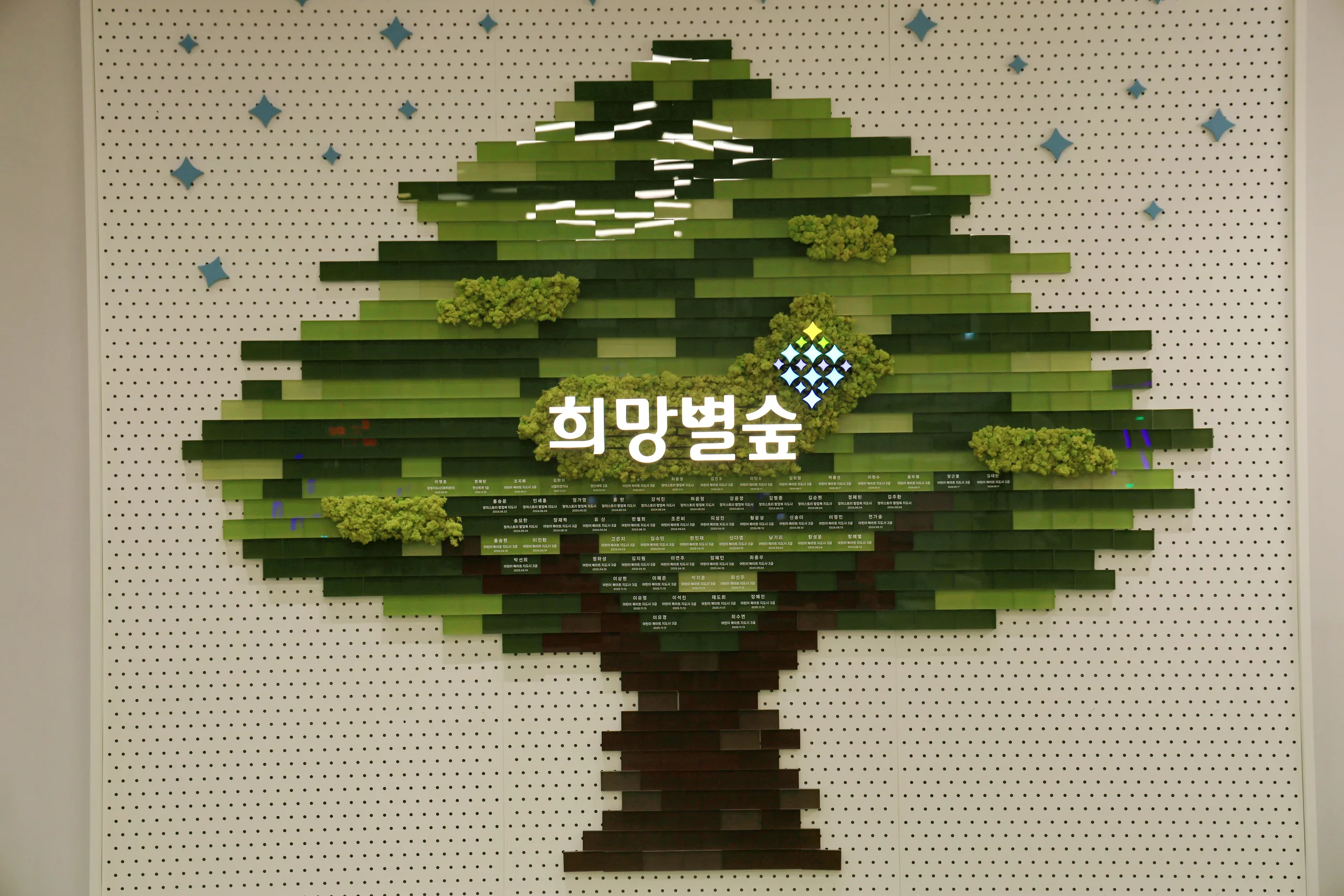 희망별숲 로고와 직원들의 자격 취득 기록을 담은 명패들이 초록 나무 모양으로 배치된 벽면 장식.